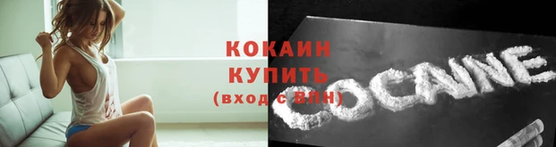 стаф Белокуриха