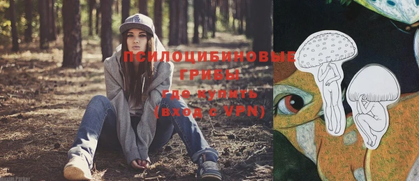 стаф Белокуриха
