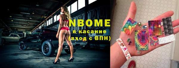 стаф Белокуриха