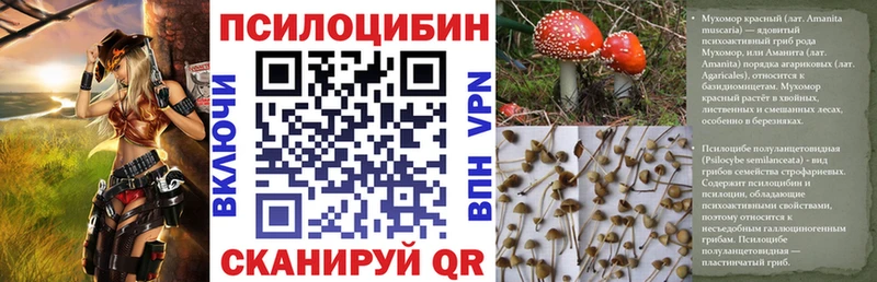 Псилоцибиновые грибы мухоморы  Болохово 